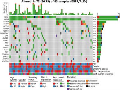 A Somatic Mutation Signature Predicts the Best Overall Response to Anti-programmed Cell Death Protein-1 Treatment in Epidermal Growth Factor Receptor/Anaplastic Lymphoma Kinase-Negative Non-squamous Non-small Cell Lung Cancer